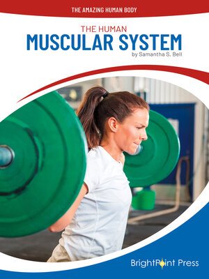 cover image of The Human Muscular System